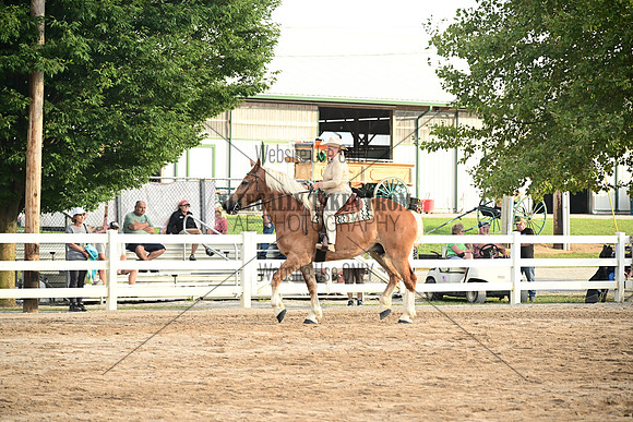 AJB_0658