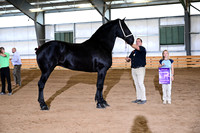 AJB_4302