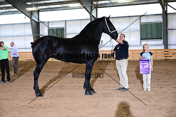 AJB_4302