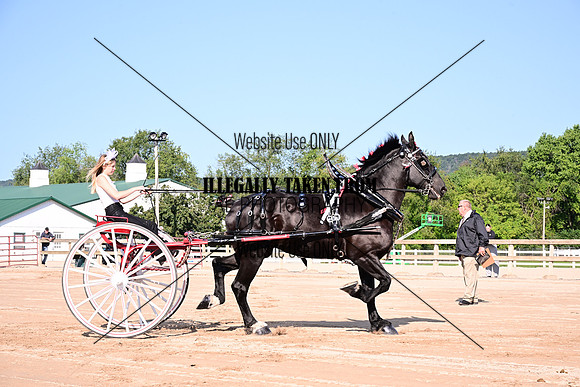 AJB_4457