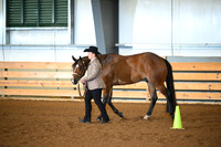 Level 1 3 Year Old Geldings
