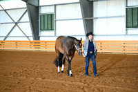 Level 1 Performance Geldings
