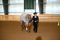 Level 1 Performance Mares