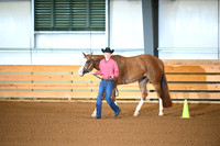 Level 1 Youth Performance Mare