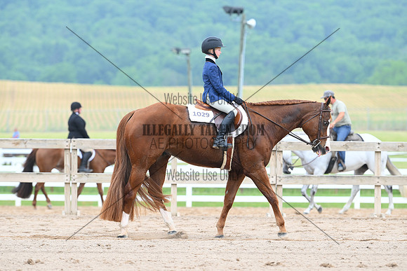 ASH_3688