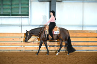Level 1 Amatuer Western Pleasure