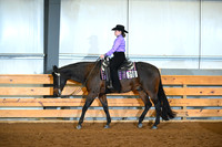 Level 1 Youth Western Pleasure