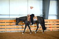 Rookie Amateur Western Pleasure