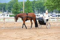 Amateur Driving