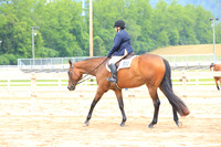 Level 1 Amateur Walk-Trot Hunter Under Saddle