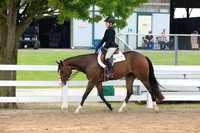 Level 1 Youth Walk-Trot Hunter Under Saddle