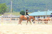 KEE_0427