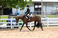 Junior Hunter Under Saddle
