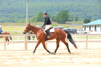 Level 1 Amateur Hunter Under Saddle