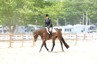 Select Hunter Under Saddle