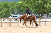 Senior Hunter Under Saddle
