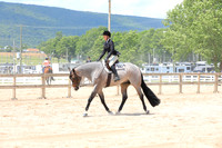 Youth Hunter Under Saddle