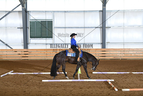 DSC_6118