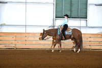 Level 1 Youth WT Horsemanship
