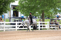 Level 1 Green Western Pleasure