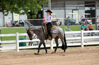 Lvl 1 Youth Western Pleasure