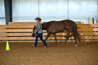 Amateur 3 Year Old Geldings