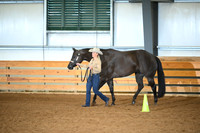 Amateur Aged Geldings