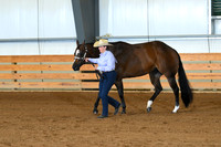 Amateur Aged Mares