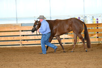 Open 2 Year Old Mares