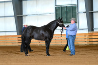 ASH_7661