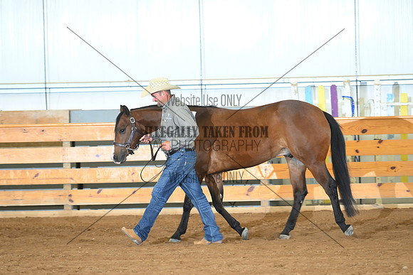 ASH_7986