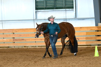 Open Performance Geldings