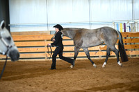 Performance Mares