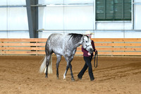 Performance Youth Geldings