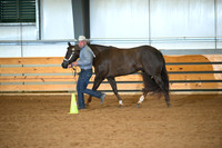 Amateur Performance Geldings