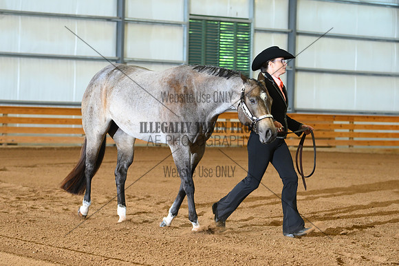 ASH_8177