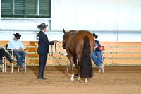 ASH_8329
