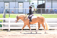 Small Fry Hunter Under Saddle