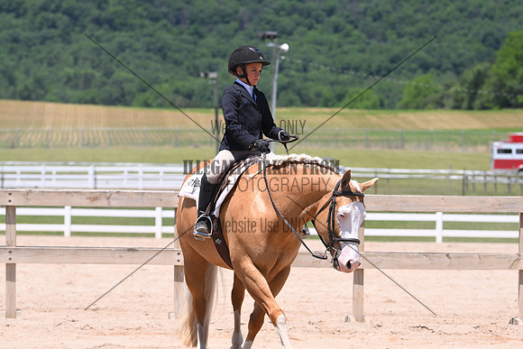 ASH_8545