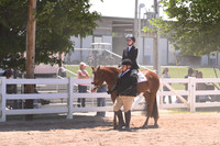 EWD Hunter Under Saddle