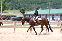 Youth Walk Trot Hunter Under Saddle
