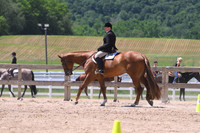 ASH_8947