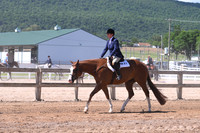 Green Hunter Under Saddle