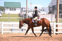 Level 1 Amateur Hunter Under Saddle