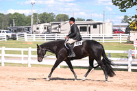 Junior Hunter Under Saddle