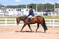 Amateur Hunter Under Saddle