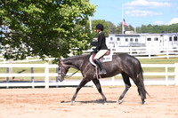 All Age Youth Hunter Under Saddle