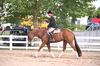Senior Hunter Under Saddle