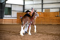 AJB_4191