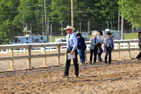 Amateur Ranch Conformation